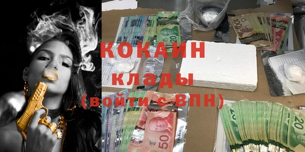твердый Майский