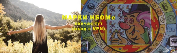 твердый Майский