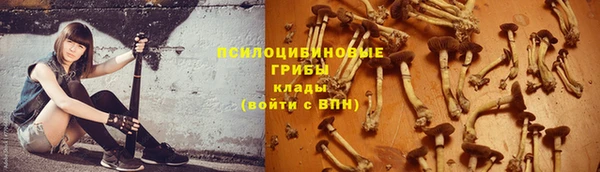 твердый Майский