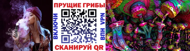 Купить где  Ишим  Галлюциногенные грибы Magic Shrooms 