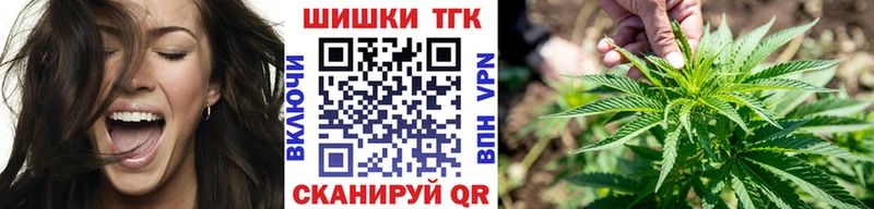 Купить закладки  Ишим  Шишки марихуана Amnesia 